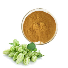 Free samples Hops Extract Humulus Lupulus Extract Hops Flower Extract Powder